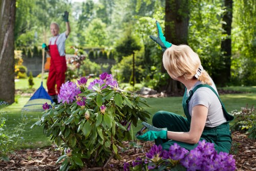 A gardener, wearing teal gloves and casual clothing, is crouched down in a well-maintained garden, closely examining or tending to a flowering shrub with vibrant purple blooms. The garden features a neatly edged flower bed with dark mulch, surrounding the shrub, and a lush, green lawn in the foreground. In the background, another person in a red apron and gloves is raking or clearing fallen leaves near a pond or water feature, with tall trees providing dappled sunlight and creating a peaceful outdoor environment typical of a landscaped yard in Hendon. The scene depicts a bright, clear day with natural light highlighting the healthy foliage and vibrant flower colours, exemplifying professional gardening and outdoor maintenance efforts by Landscapers Hendon aimed at enhancing garden aesthetics and health, suitable for garden care services offered in the local area.