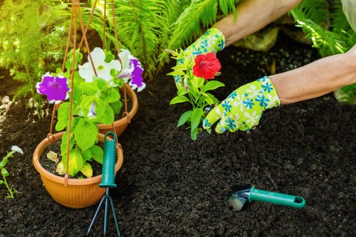 A garden scene showing a person wearing colourful gardening gloves planting a red flowering plant in rich, dark soil within a landscaped outdoor space. In the foreground, there are two hanging flower baskets containing vibrant purple and white flowers, supported by a metal stand or hanging structure. To the right, a small garden hand trowel tool rests on the soil, indicating active gardening work. The background features lush green foliage, including ferns and leafy plants, suggesting a well-maintained garden environment. The overall setting appears to be a front or back garden in Hendon, with a focus on planting and outdoor maintenance, reflecting professional gardening and landscaping services to enhance outdoor spaces, especially during spring or summer seasons. The natural tones of the plants and soil, combined with the gardening activity, emphasize a cultivated, inviting outdoor area in a residential part of London.