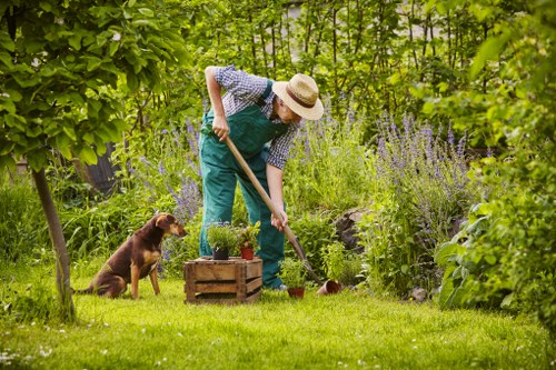 A person with a straw hat, blue apron, and checkered shirt is working in a lush garden, using a garden tool to tend to the plants. The garden features a well-maintained grassy lawn in the foreground, bordered by various green shrubs and flowering plants, including purple lavender and other native species. To the left, a small wooden container filled with plants rests on the grass, and a brown dog sits nearby, attentively observing the gardening activity. The background includes a mix of trees and dense foliage, creating a natural outdoor setting with dappled sunlight filtering through the leaves, indicative of a mild, clear day. The scene reflects careful landscape maintenance and outdoor gardening, aligning with professional outdoor services provided by Landscapers Hendon, serving the Hendon area.