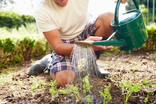 A person wearing a beige t-shirt and plaid shorts is kneeling in a garden bed, watering young green plants with a green watering can. The garden features a well-maintained lawn with dense, lush grass visible in the background, along with a hedge and a few small trees. The soil in the garden bed appears freshly turned, with new plants emerging, indicating ongoing planting or garden maintenance. Bright natural daylight illuminates the scene, suggesting a clear, sunny day, and the overall environment depicts a tidy, landscaped outdoor space typical of residential gardening in Hendon or surrounding areas. This image reflects garden care activities that a professional landscaper, such as Landscapers Hendon, might undertake to maintain healthy, attractive outdoor spaces for clients.