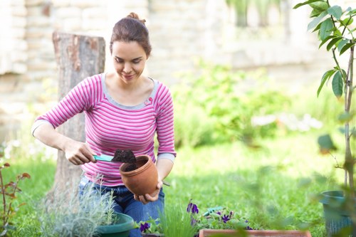 A young woman with dark hair in a ponytail, wearing a pink and white striped long-sleeve top, is working in a garden in Hendon. She is holding a terracotta flower pot and appears to be planting or tending to potted plants, which include purple and green foliage. The garden features a well-maintained lawn with vibrant green grass in the foreground, bordered by flower beds that contain various plants and flowers. In the background, there is a stone wall and a tree trunk, suggesting a landscaped outdoor space. The scene is illuminated by natural daylight, possibly during a mild or sunny day, with some sunlight filtering through the surrounding plants and trees. The setting reflects a tidy, cultivated garden environment, suitable for outdoor maintenance and gardening services offered by professionals like Landscapers Hendon.