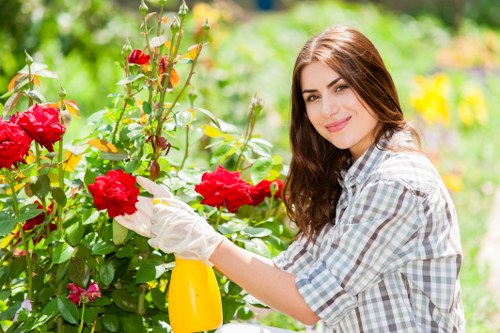 A woman with long brown hair, wearing a light blue and white checked shirt and white gardening gloves, is tending to a vibrant red rose bush in a well-maintained garden. She is holding a yellow spray bottle in her right hand and carefully pruning or inspecting the roses. The garden features lush green foliage, with a mix of flowering plants and neatly trimmed hedges in the background. The scene is brightly lit by natural sunlight, suggesting a clear and pleasant day, and the setting appears to be a residential outdoor space, typical of a garden in Hendon or the surrounding area. The combination of flowering plants, healthy grass, and garden tools indicates professional gardening care, possibly provided by Landscapers Hendon, supporting high-quality lawn and outdoor space maintenance services.