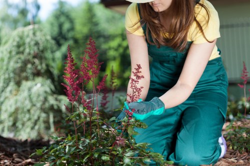 A woman with long brown hair, wearing a yellow t-shirt and teal gardening overalls, is kneeling in a garden space during daytime. She is tending to a flower bed with vibrant purple and pink flowering plants, using blue gardening gloves. The garden features a well-maintained grassy lawn in the foreground, surrounded by lush green shrubs and trees in the background, indicating a healthy, landscaped outdoor area. The patio is paved with brick or stone, with garden elements arranged for aesthetic appeal, and a covered patio or garden shed partially visible on the side. Natural daylight illuminates the scene, highlighting the rich greens of the foliage and the colorful blooms, demonstrating typical gardening activities carried out by professionals such as Landscapers Hendon in the Hendon area, relevant to local gardening and landscaping services.