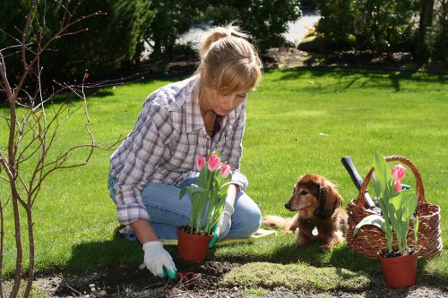 A woman with blonde hair wearing a checked shirt and white gardening gloves is kneeling on a well-maintained green lawn in a garden, planting pink tulips from small terracotta pots into the soil near a flower bed. Behind her, there are mature trees and bushes providing a lush, natural backdrop, with sunlight casting soft shadows, indicating a clear day. To her right, a small brown puppy with floppy ears is sitting attentively, observing her gardening activity. The garden features a combination of grass, soil beds, and a wooden deck area partially visible at the edge of the scene. A wicker basket filled with tulips and a small garden hand tool are nearby, suggesting recent planting activity. This outdoor space, likely part of a residential property in Hendon, offers a peaceful and vibrant environment suitable for gardening and outdoor maintenance, reflecting professional landscaping standards and care typical of local gardening services.