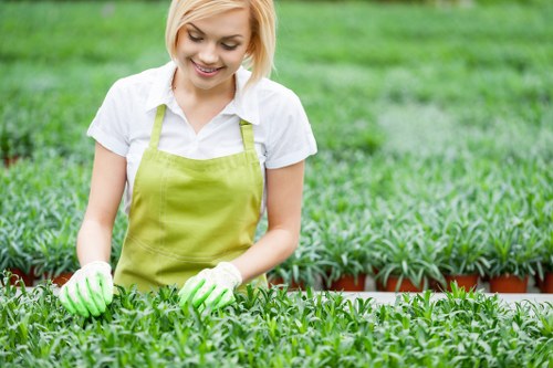 A young woman with short blonde hair, dressed in a white shirt and a light green apron, is working in a nursery or garden center with lush green plants and seedlings arranged in rows on tables. She is wearing gardening gloves and appears to be inspecting or caring for the small plants. The background shows a vibrant, well-maintained outdoor space with more greenery, typical of a professional gardening or landscaping environment near Hendon, where expert gardening services are provided. The scene is brightly lit, suggesting a clear day, and emphasizes the healthy, thriving plants that could be part of a garden renovation or landscaping project supported by Landscapers Hendon.