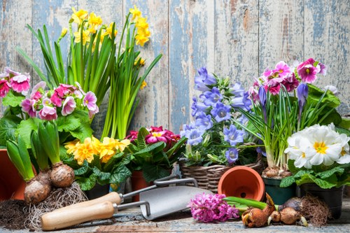 A display of garden flowers arranged in pots set on a weathered wooden surface, featuring yellow daffodils, pink primroses, purple violets, and white primroses with yellow centers. The background consists of aged wooden panels painted in light blue, adding a rustic outdoor garden atmosphere. Several gardening tools, including a trowel with a wooden handle, a small watering can, and a gardening fork, are positioned among the plants. Soil and plant bulbs are also visible, emphasizing the process of planting and garden maintenance typical of professional gardening services in Hendon. The scene captures vibrant flower colours and fresh greenery, illustrating themes of outdoor beautification and landscape care aligned with local gardening expertise.